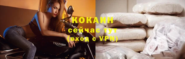 индика Балахна