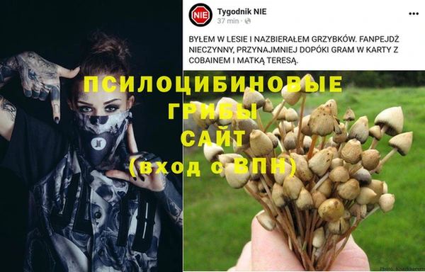индика Балахна