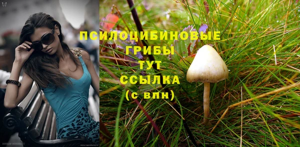 гашик Балабаново