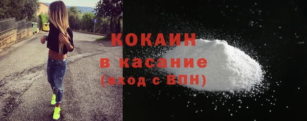 индика Балахна