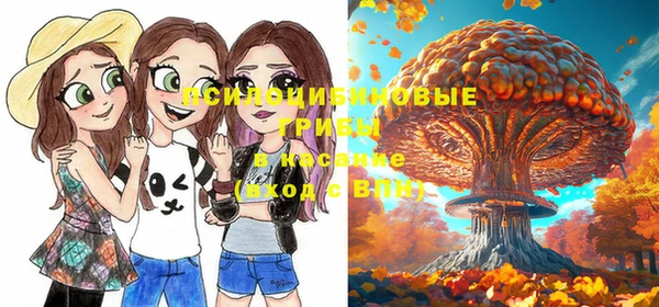 индика Балахна