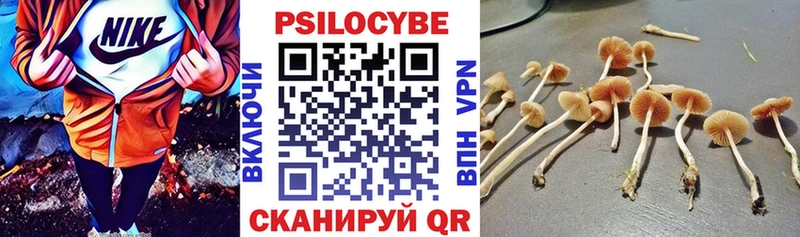 даркнет сайт  Гатчина  omg ссылки  Псилоцибиновые грибы MAGIC MUSHROOMS 